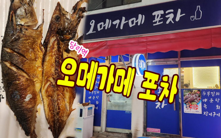  [당리역]_오메가메포차 가볍게 한잔하기 좋다!