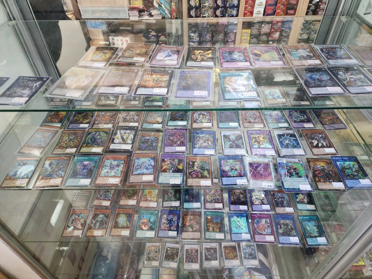  [2023.02.05] 서울 아현역 유희왕·TCG 카드샵 카드킹덤 방문 후기