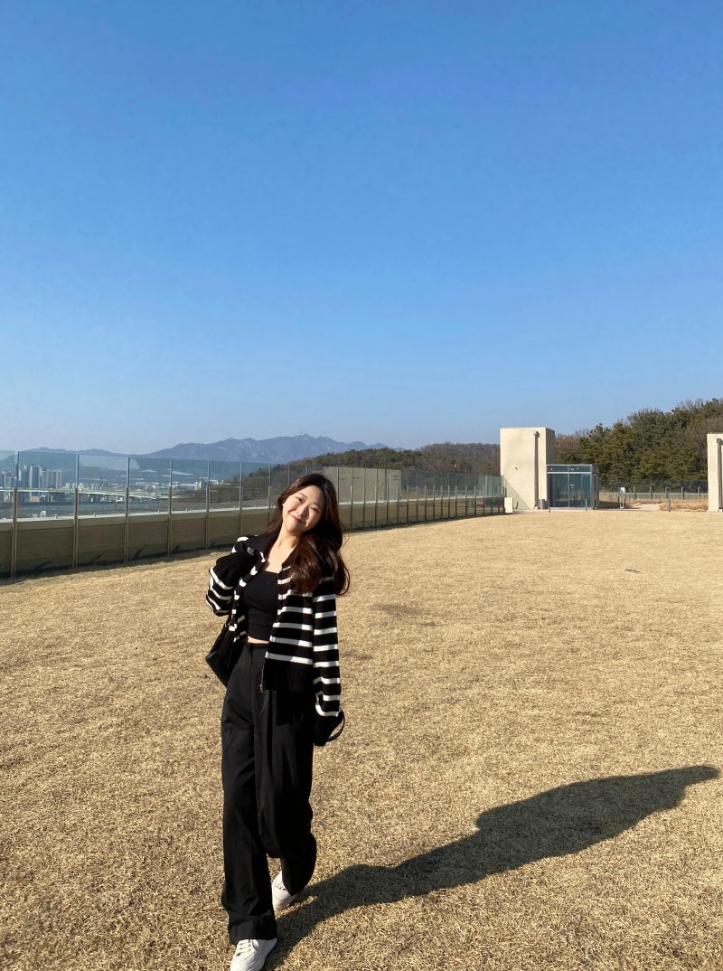 [데일리] (2color) 단가라 니트 카라 집업 다기건