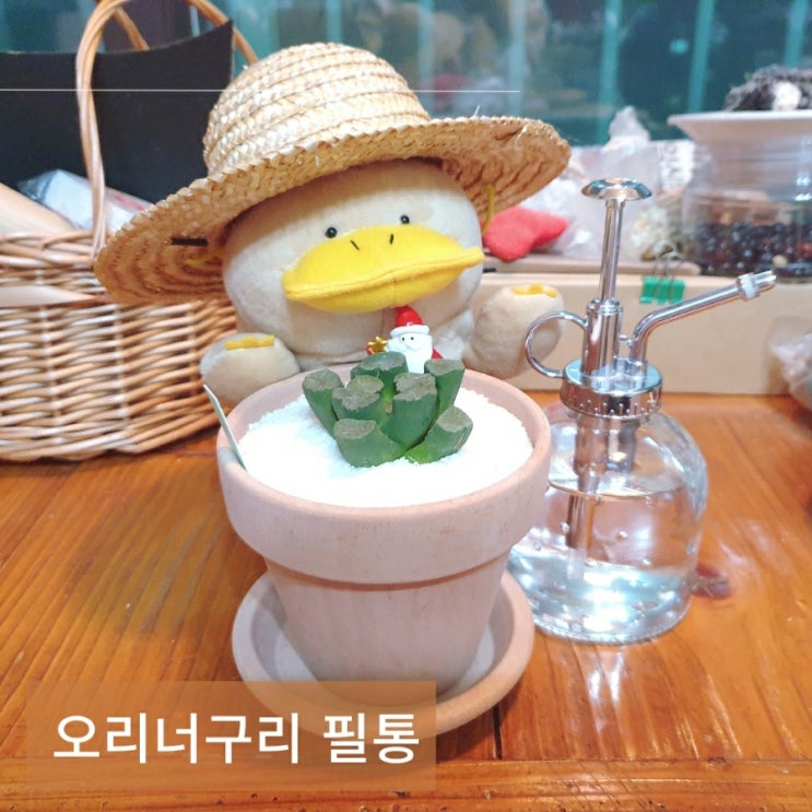  디케이스토어 오리너구리필통 귀여운 동물필통 추천