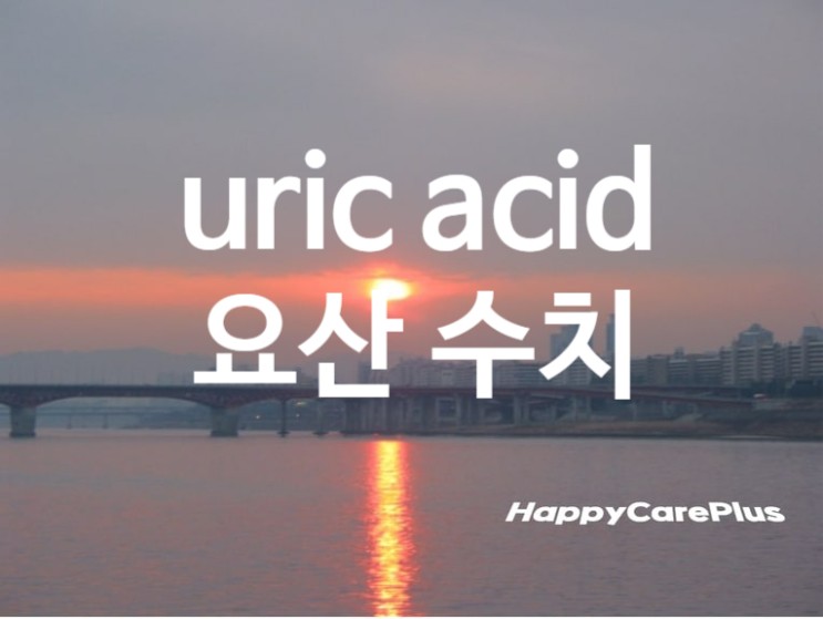 Uric acid 수치 / 요산수치 높으면/ 낮으면