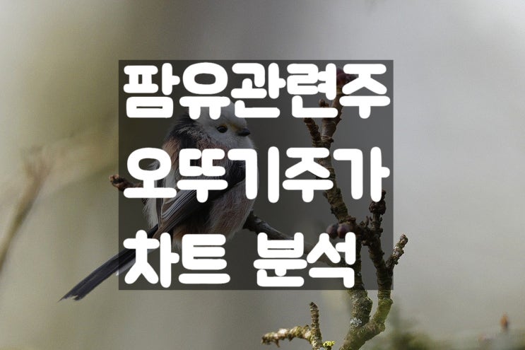  팜유 관련주 오뚜기 주가 실적 차트 분석