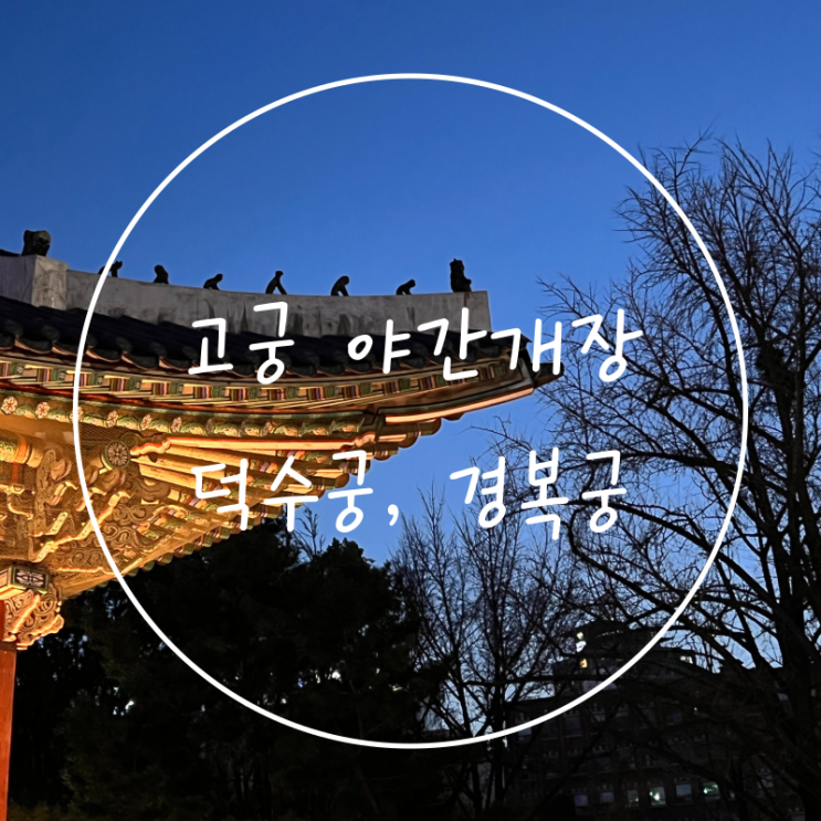  고궁 야간개장 덕수궁 경복궁 데이트 서울 궁궐투어