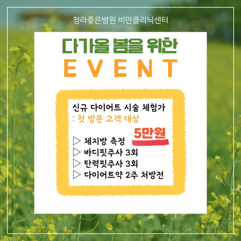 청라비만클리닉과 함께 다이어트 식단을 현명하게 짜는 방법 3