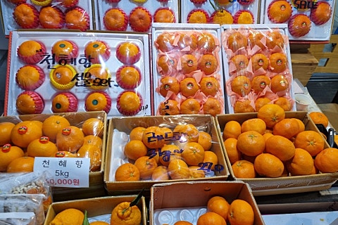 오늘청과2 이미지