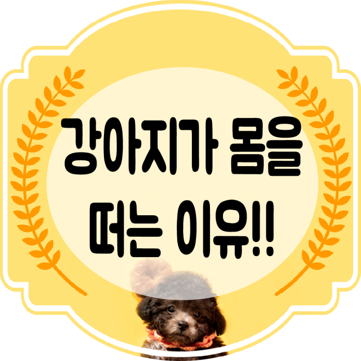  강아지가 몸을 떨어요!! 몸떨림 대처법과 떠는이유