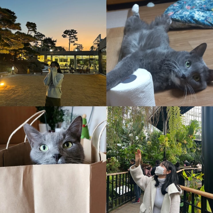  2월 2주차 일상국립세종수목원/청주 동남지구 카페 공간조경/용암동 장수촌/건강검진 결과