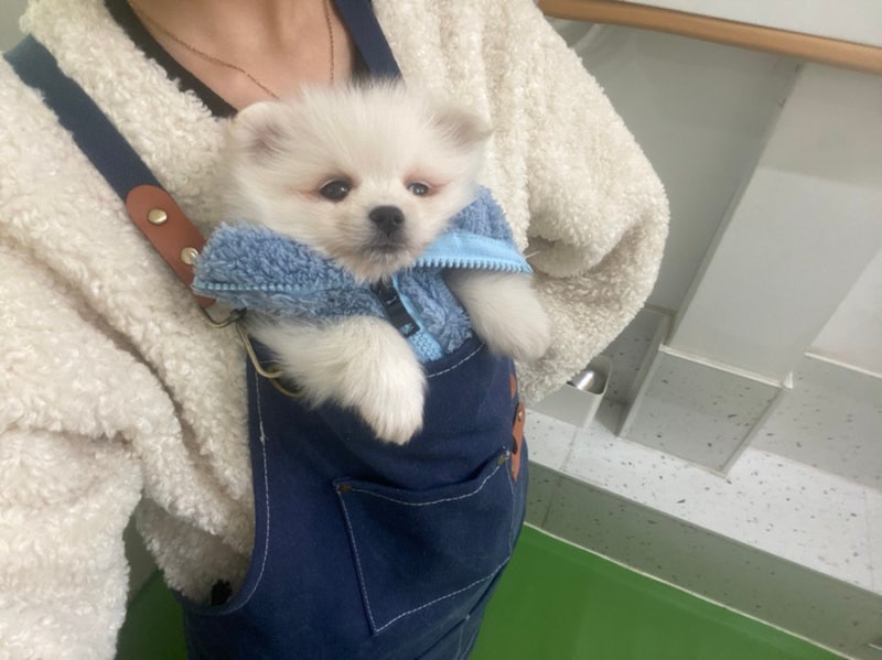 사진 5