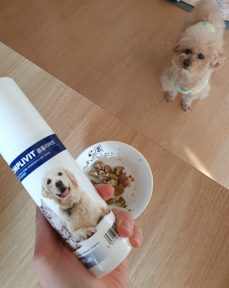강아지 종합영양제 식욕촉진제 벳플러스 콤플리비트