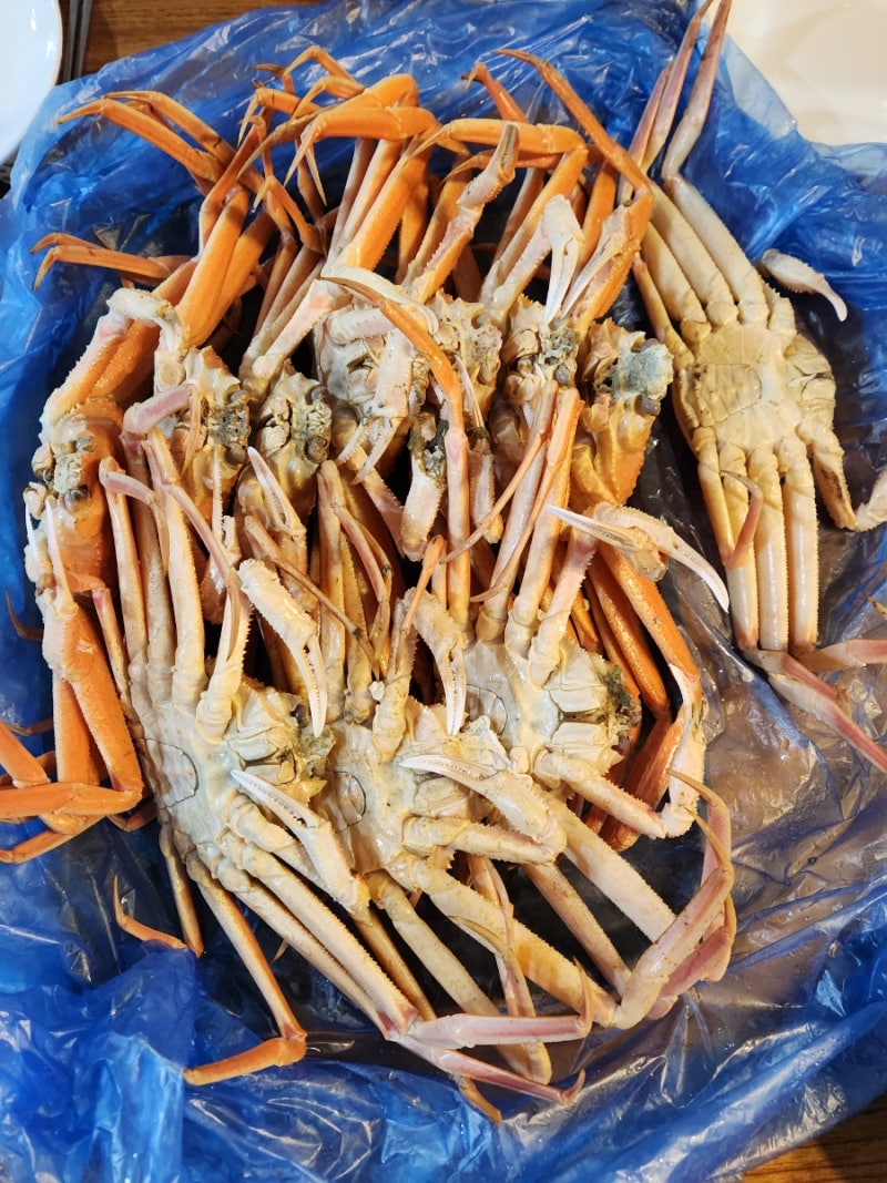 대게는 대게대게 맛있음, 구룡포 항구어시장 대게시세 : 네이버 블로그