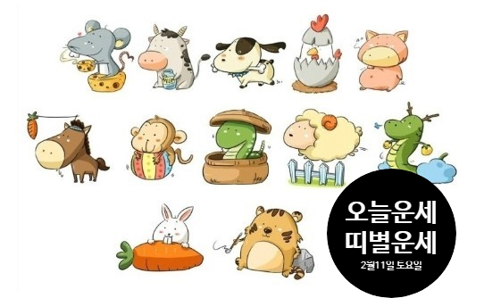  오늘의 운세 띠별 운세 2월 11일 토요일 