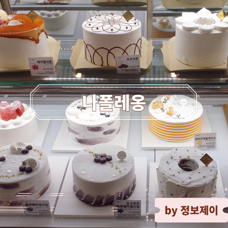  [서울 3대 빵집] 나폴레옹 제과점 본점 : 인기 메뉴 및 가격, 빵 나오는 시간, 주차 정보 총정리