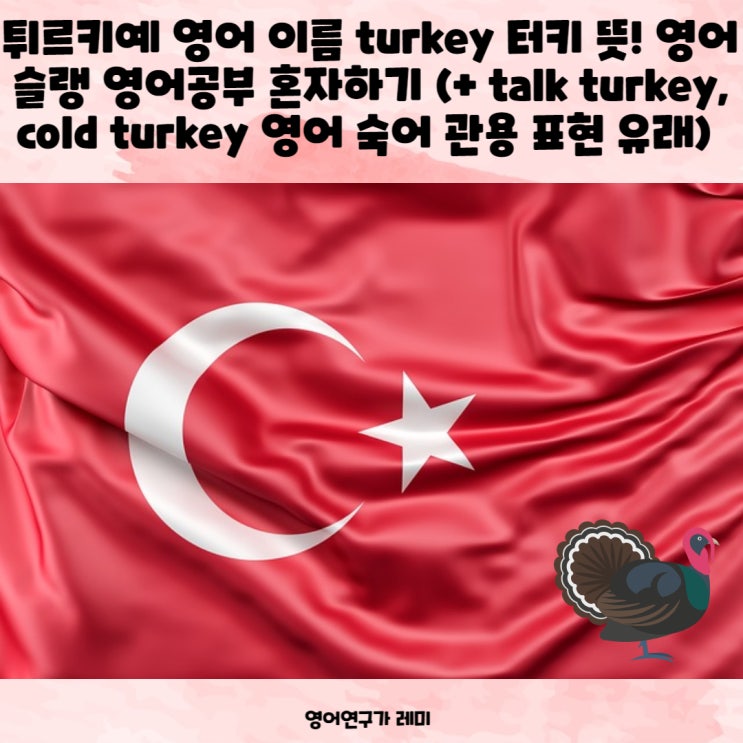 튀르키예 영어 이름 turkey 터키 뜻! 영어슬랭 영어공부 혼자하기 (+ talk turkey, cold turkey 영어 숙어 관용 표현 유래)