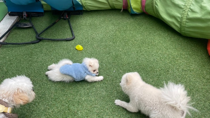 사진 6