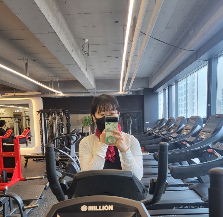  내가 해 본 운동별 장단점 비교 (헬스/피티/서킷/요가/수영/점핑/에어로빅/복싱/킥복싱/mma/주짓수)