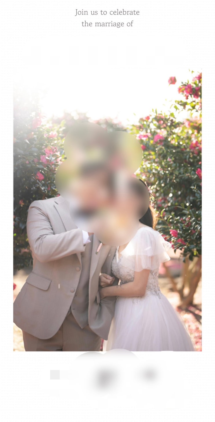  [웨딩준비] 손쉽게 내 손으로 만드는 모바일청첩장 '내귤반쪽'  -내돈내산