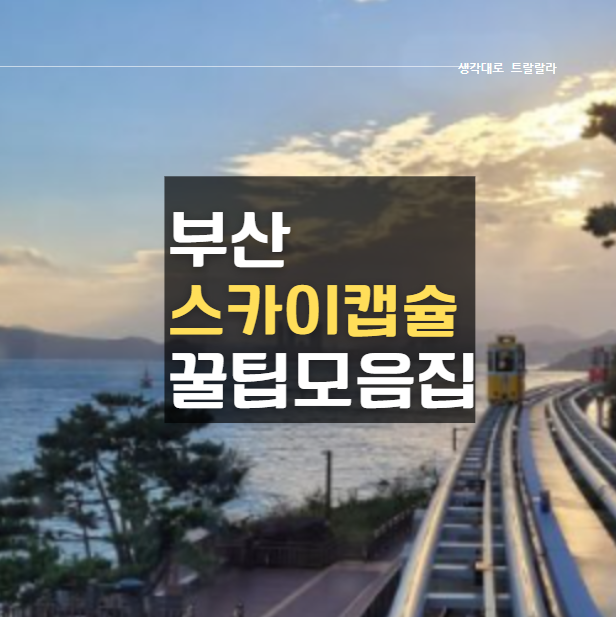  내돈내산) 부산 스카이캡슐 이용꿀팁 모음