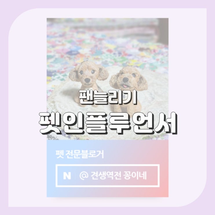  반려동물 인플루언서 팬늘리기 어렵죠?
