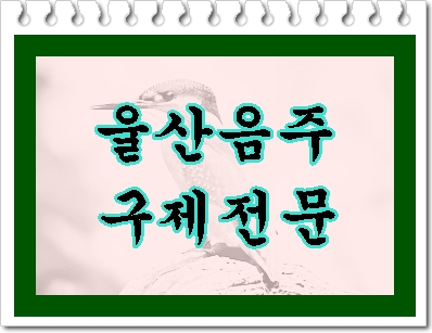  울산 음주운전 구제 이것만 꼭!