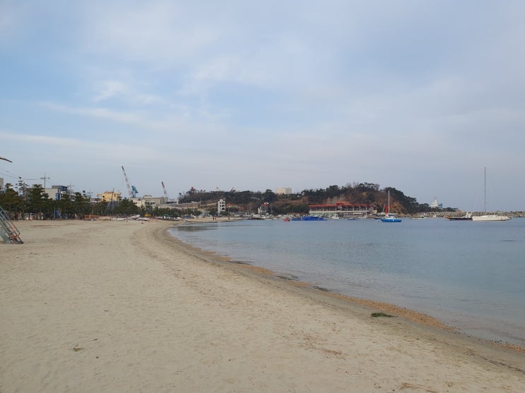  (울산여행)투썸플레이스 울산 일산점 분위기 좋은 카페