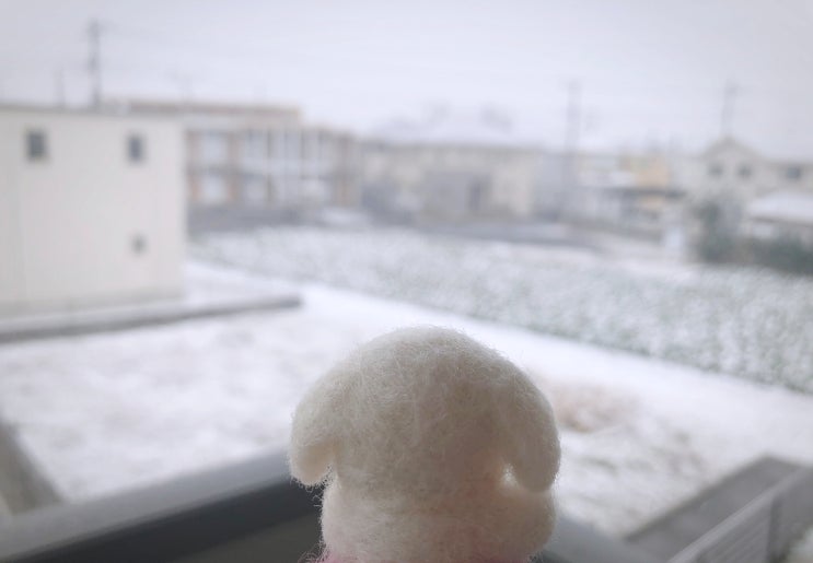  [일본/일상] 올 해, 첫 눈