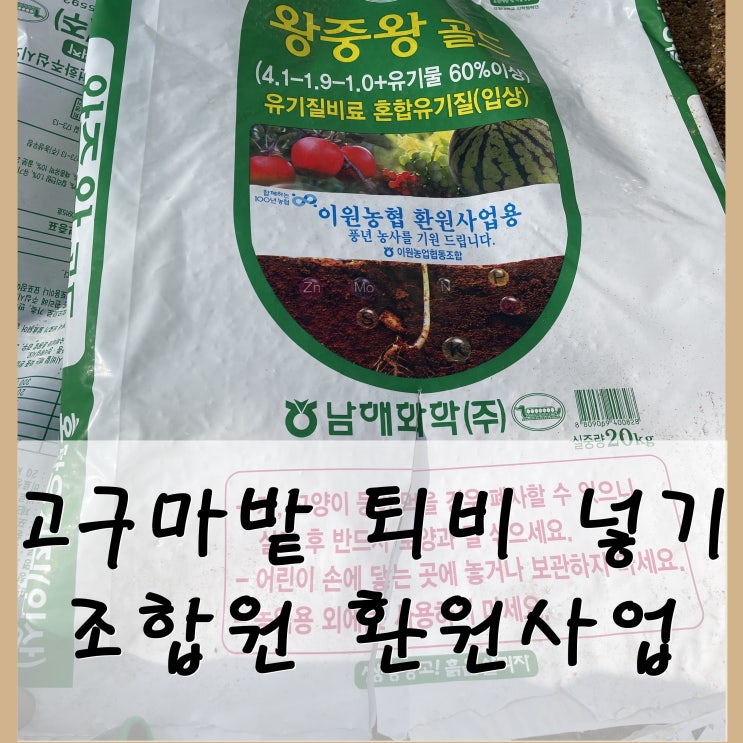  Ep22 : 고구마밭 퇴비넣기, 이원농협 조합원 환원사업