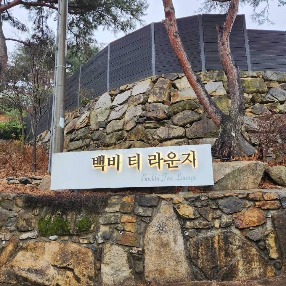 백티비라운지 사진 2