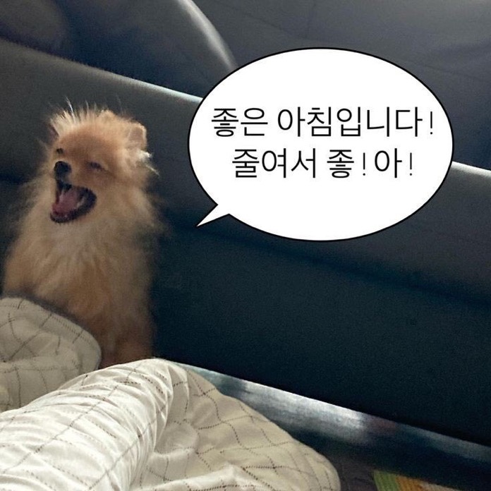  미라클 모닝