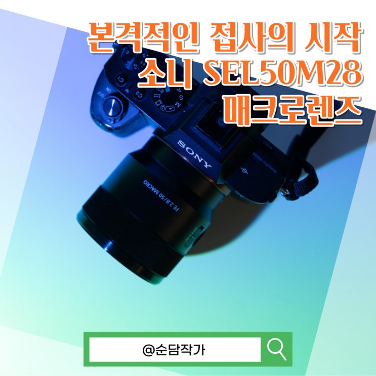  접사 렌즈를 구입한 이유! 소니 SEL50M28 매크로 촬영 예시