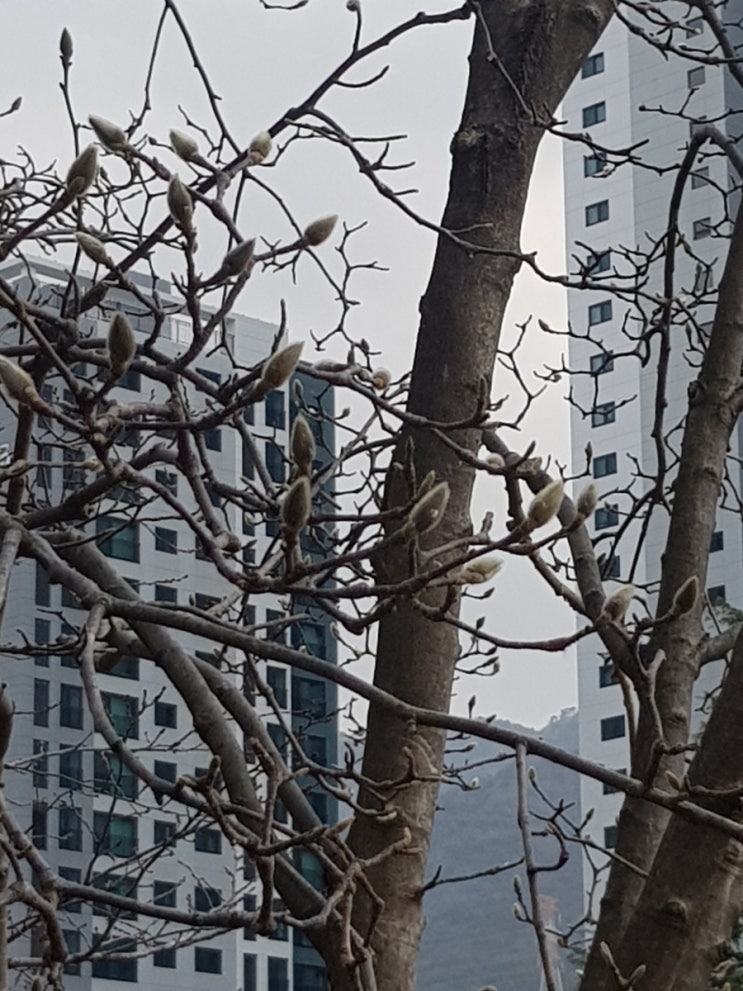  오늘은 총체적 난국이었다