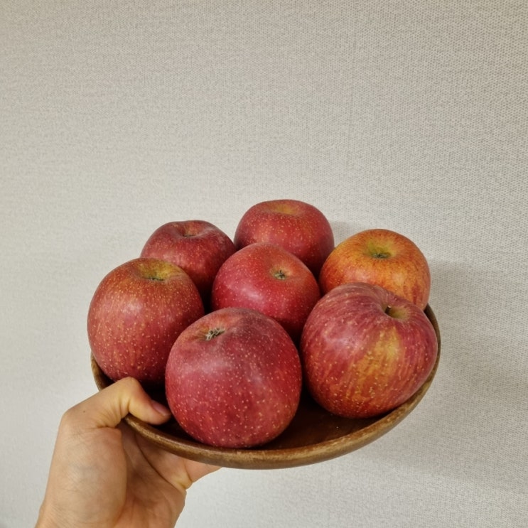  가장의과일 밀양얼음골사과 달고 맛있어요 feat 5kg