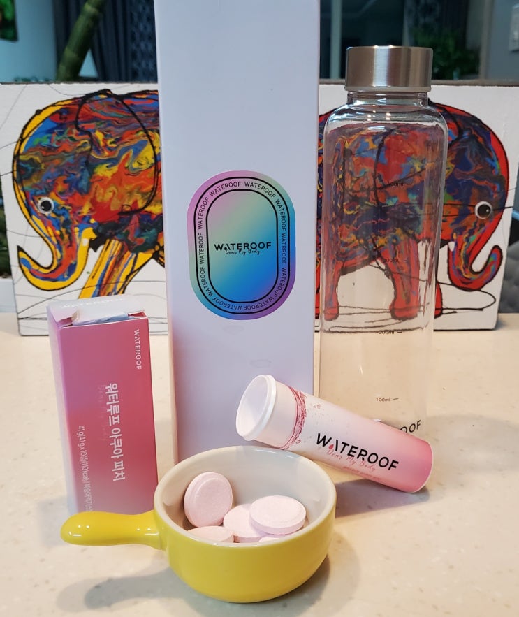 유산균,비타민도 챙기고 다이어트까지"생수를 맛있게 마실수있는 마법"워터루프 유산균,비타민도 챙기고 다이어트까지"생수를 맛있게 마실수있는 마법"워터루프