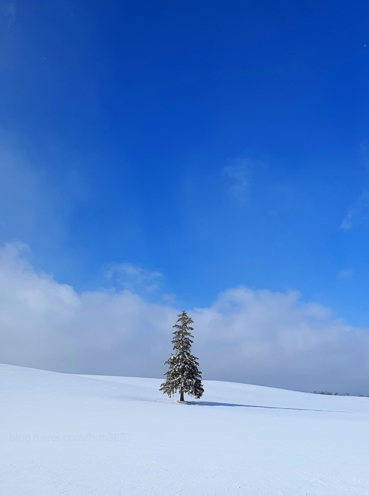 [홋카이도 여행 4일차] 겨울 비에이 원데이 패키지 투어(크리스마스트리 나무, 켄과 메리의 나무, 세븐스타 나무, 청의 호수, 흰수염폭포, 닝구르 테라스)