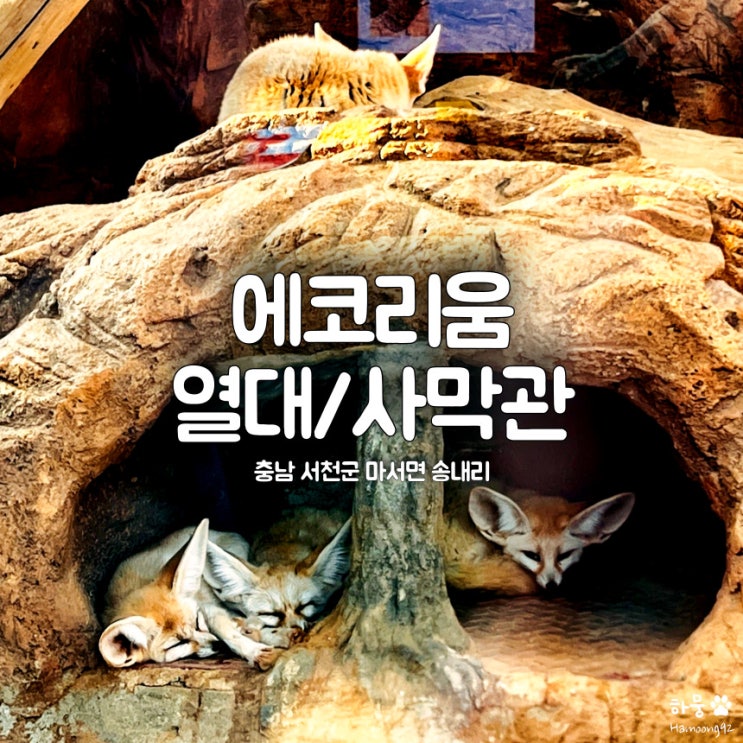  충남 서천군 국립생태원 에코리움 열대관, 사막관 관람후기