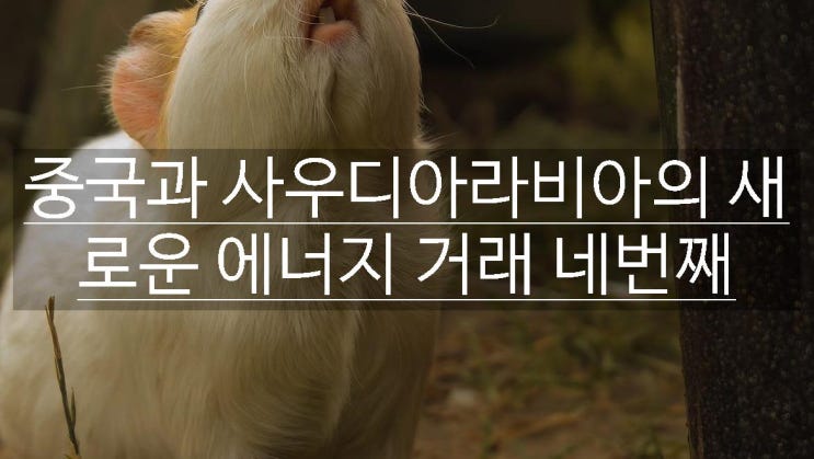  중국과 사우디아라비아의 새로운 에너지 거래 네번째