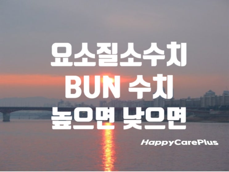  혈액 요소질소 수치 -BUN 수치 높으면/ 낮으면