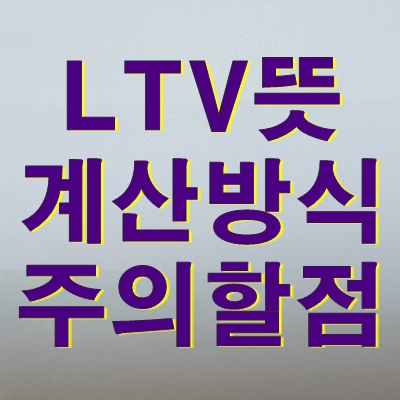 LTV - 용어 뜻 도입목적 계산방식 주의할점