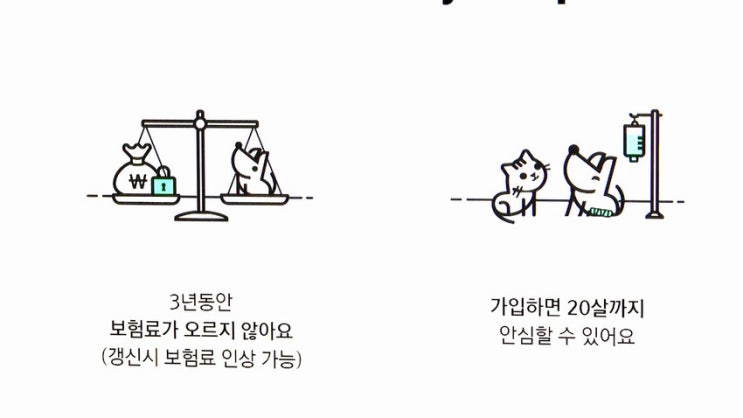부르는 게 값? 반려동물 진료비 부담되네…보험가입률은? 부르는 게 값? 반려동물 진료비 부담되네…보험가입률은?