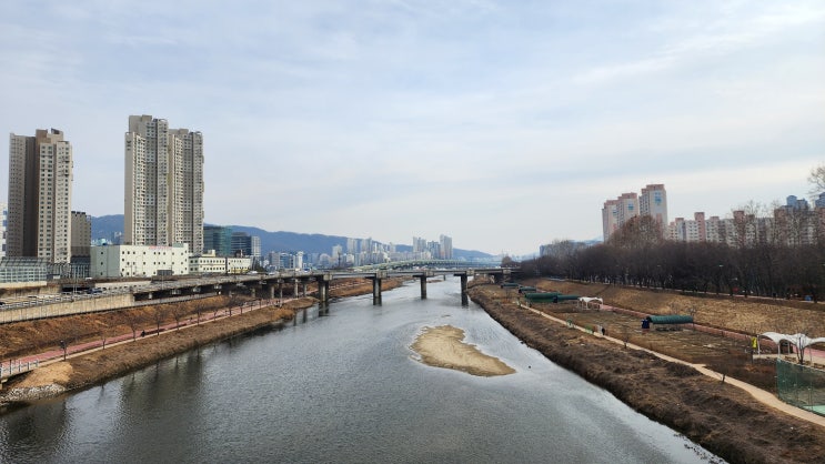 쉼休이 필요한 때, 서울살이 하며 오랜만에 걷는 안양천