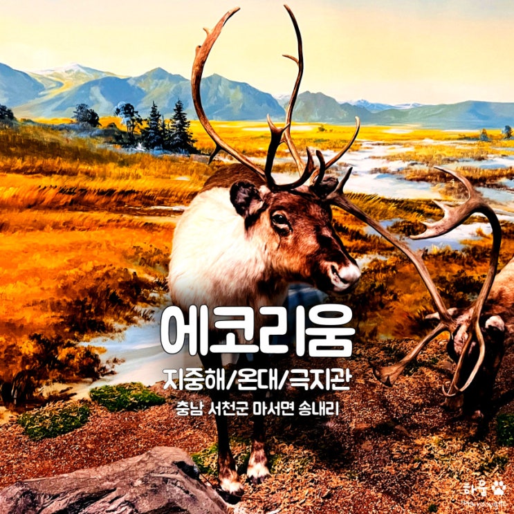  충남 서천군 국립생태원 에코리움 지중해/온대/극지관 관람후기