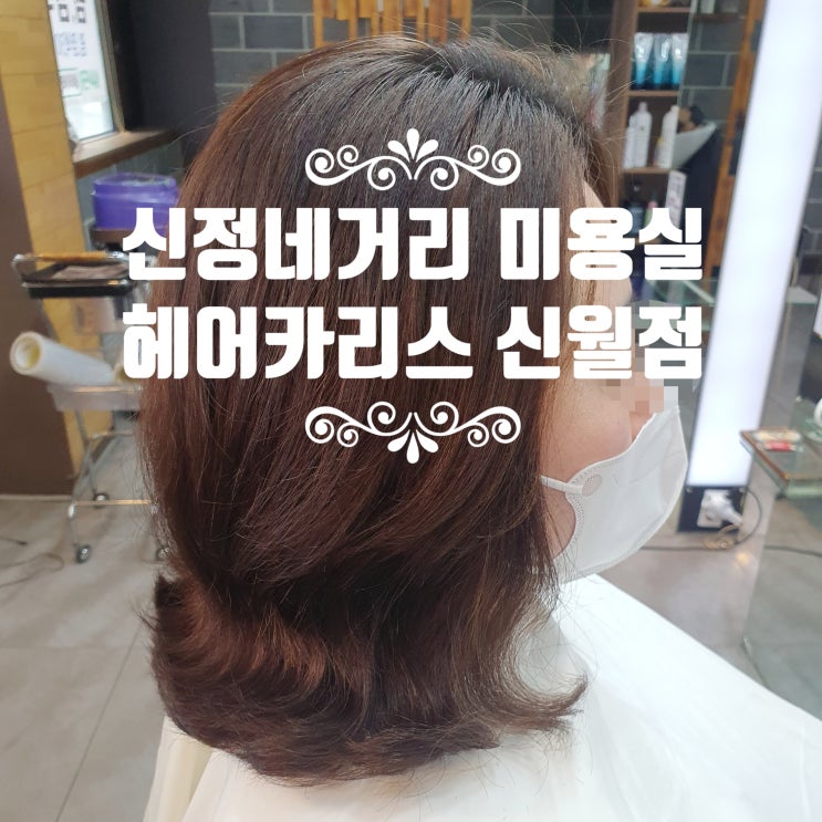  신정네거리미용실 헤어카리스 신월점 CS컬펌으로 분위기 대변신 :)