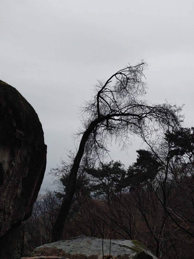 오락가락하는 비, 오늘아침 설봉산(삼형제바위)