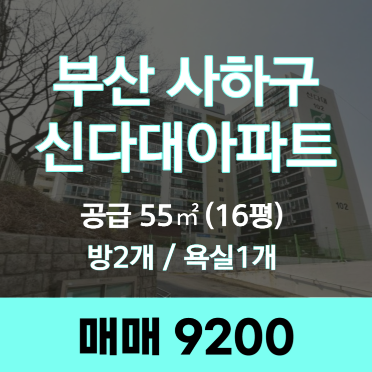 부산 사하구 다대동 역세권 신다대아파트 매매
