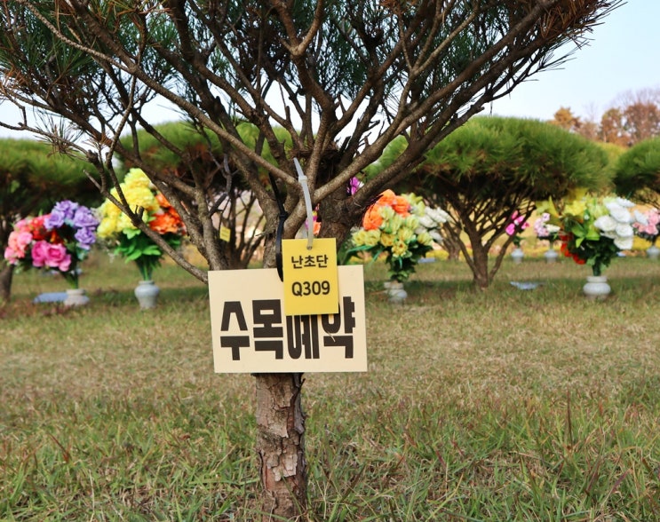  수목장의 종류와 자연장 차이점
