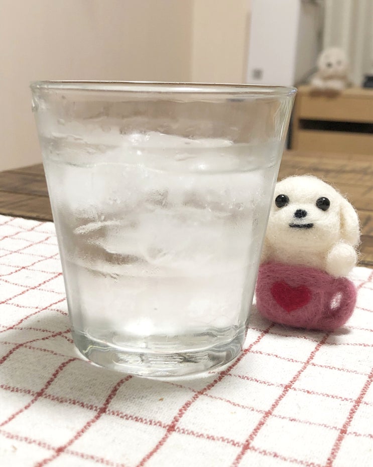 [일본/일상] 양모펠트로 강아지 만들기