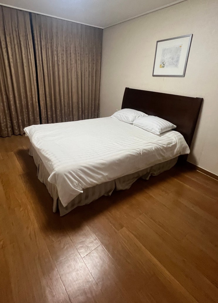  정선 강원랜드 메이힐스리조트는 가성비 최고