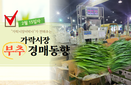  [경매사 일일보고] 2월 15일자 가락시장 "부추" 경매동향을 살펴보겠습니다!