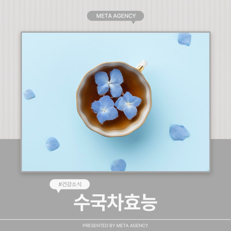  수국차효능 5가지와 부작용 알아보기
