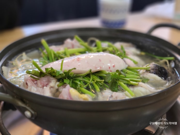  강릉 해장 맛집 제철 생 복어로 끓인 복지리 속이 확 풀려요