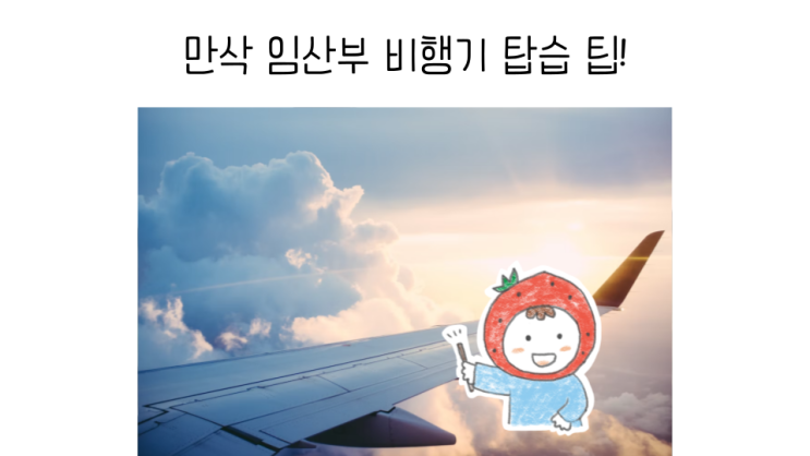  만삭 임산부 비행기 탑승할 때 알아두면 좋을 팁